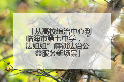 从高校综治中心到临海市第七中学，“法姐姐”解锁法治公益服务新场景