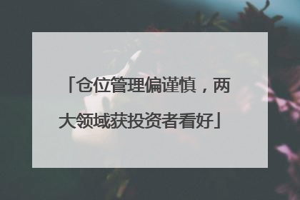 仓位管理偏谨慎，两大领域获投资者看好
