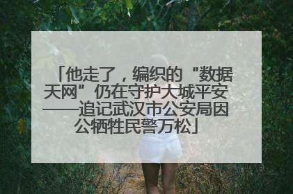 他走了，编织的“数据天网”仍在守护大城平安——追记武汉市公安局因公牺牲民警万松