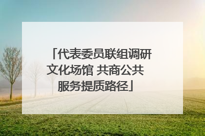 代表委员联组调研文化场馆 共商公共服务提质路径