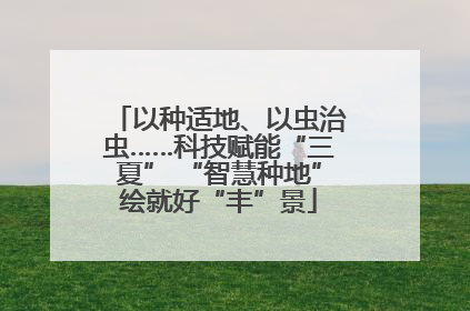 以种适地、以虫治虫……科技赋能“三夏” “智慧种地”绘就好“丰”景