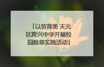 以劳育美 天元区隆兴中学开展校园除草实践活动