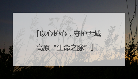 以心护心，守护雪域高原“生命之脉”