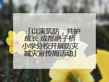 以演筑防，共护成长 成都磨子桥小学分校开展防灾减灾宣传周活动