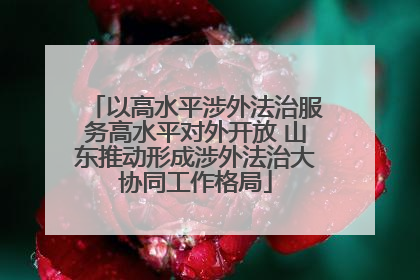 以高水平涉外法治服务高水平对外开放 山东推动形成涉外法治大协同工作格局