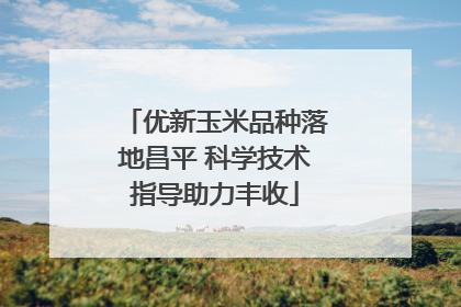 优新玉米品种落地昌平 科学技术指导助力丰收