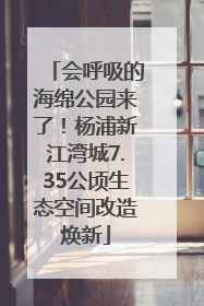 会呼吸的海绵公园来了！杨浦新江湾城7.35公顷生态空间改造焕新