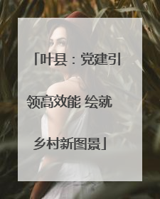 叶县：党建引领高效能 绘就乡村新图景