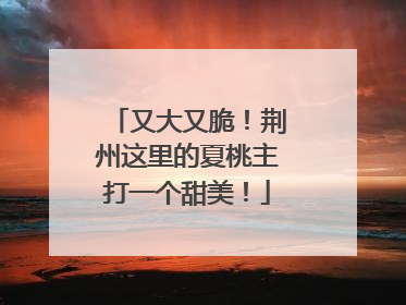 又大又脆！荆州这里的夏桃主打一个甜美！
