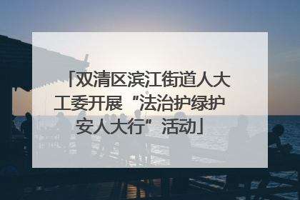 双清区滨江街道人大工委开展“法治护绿护安人大行”活动