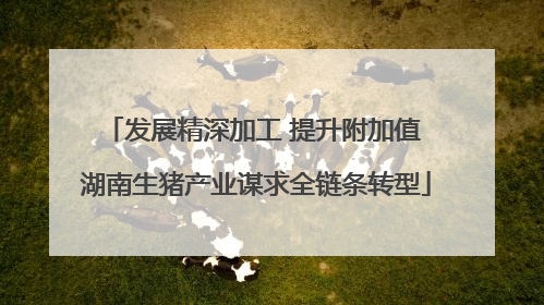 发展精深加工 提升附加值 湖南生猪产业谋求全链条转型