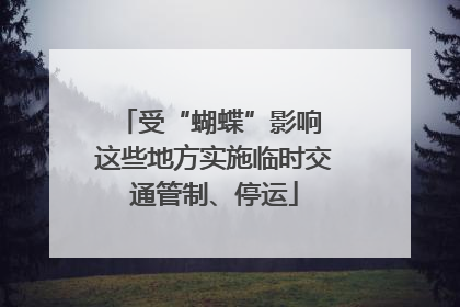受“蝴蝶”影响 这些地方实施临时交通管制、停运