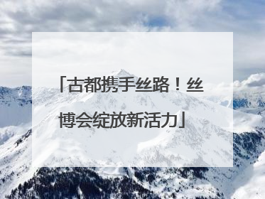 古都携手丝路！丝博会绽放新活力