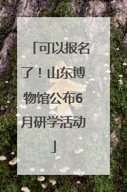 可以报名了！山东博物馆公布6月研学活动