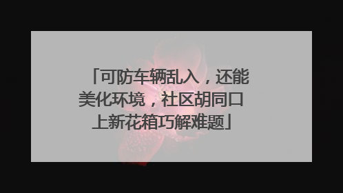 可防车辆乱入，还能美化环境，社区胡同口上新花箱巧解难题