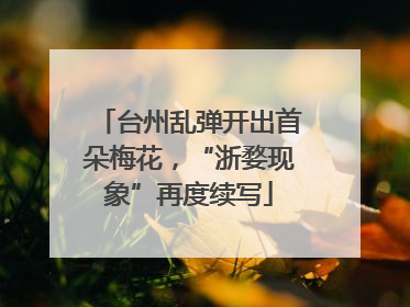 台州乱弹开出首朵梅花，“浙婺现象”再度续写