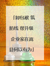卸包袱 筑防线 帮升级 企业家在嵩县何以有为