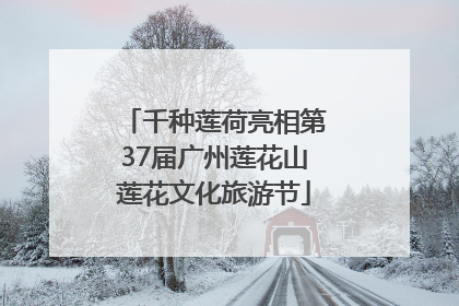 千种莲荷亮相第37届广州莲花山莲花文化旅游节