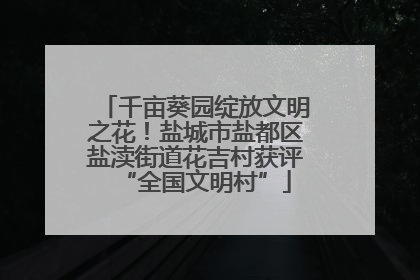 千亩葵园绽放文明之花！盐城市盐都区盐渎街道花吉村获评“全国文明村”
