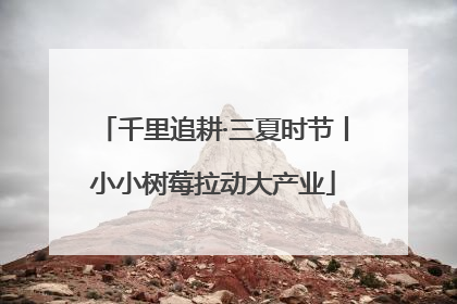 千里追耕·三夏时节丨小小树莓拉动大产业