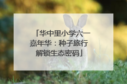 华中里小学六一嘉年华：种子旅行解锁生态密码