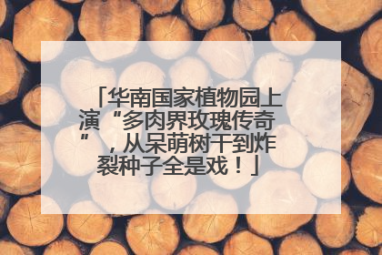 华南国家植物园上演“多肉界玫瑰传奇”，从呆萌树干到炸裂种子全是戏！