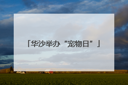 华沙举办“宠物日”