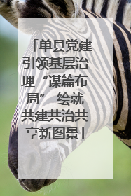 单县党建引领基层治理“谋篇布局” 绘就共建共治共享新图景