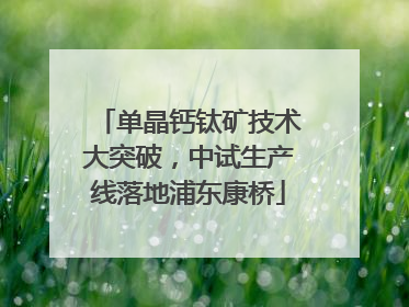 单晶钙钛矿技术大突破，中试生产线落地浦东康桥