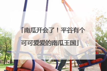 南瓜开会了！平谷有个可可爱爱的南瓜王国