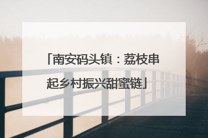 南安码头镇：荔枝串起乡村振兴甜蜜链