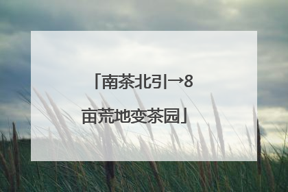 南茶北引→8亩荒地变茶园