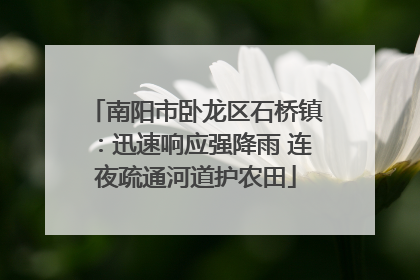 南阳市卧龙区石桥镇：迅速响应强降雨 连夜疏通河道护农田