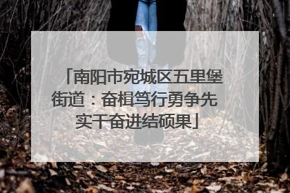 南阳市宛城区五里堡街道：奋楫笃行勇争先 实干奋进结硕果