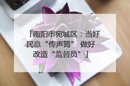 南阳市宛城区：当好民意“传声筒” 做好改造“监督员”