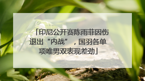 印尼公开赛陈雨菲因伤退出“内战”，国羽各单项唯男双表现差劲