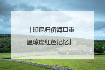 印尼归侨海口重温琼崖红色记忆