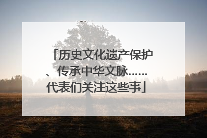 历史文化遗产保护、传承中华文脉……代表们关注这些事