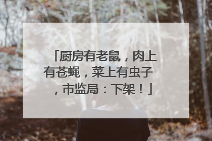 厨房有老鼠，肉上有苍蝇，菜上有虫子，市监局：下架！