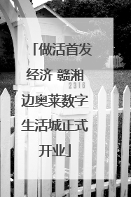 做活首发经济 赣湘边奥莱数字生活城正式开业
