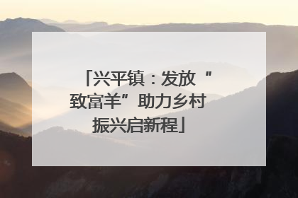 兴平镇：发放“致富羊”助力乡村振兴启新程