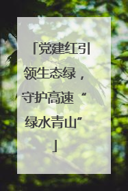 党建红引领生态绿，守护高速“绿水青山”