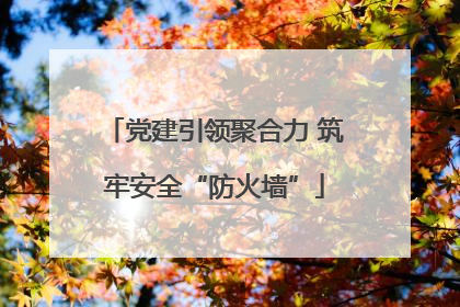 党建引领聚合力 筑牢安全“防火墙”