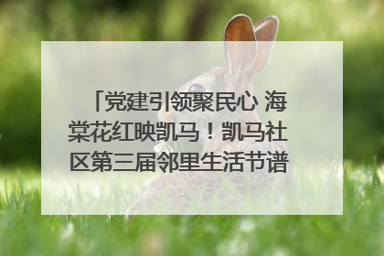 党建引领聚民心 海棠花红映凯马！凯马社区第三届邻里生活节谱写幸福新篇章
