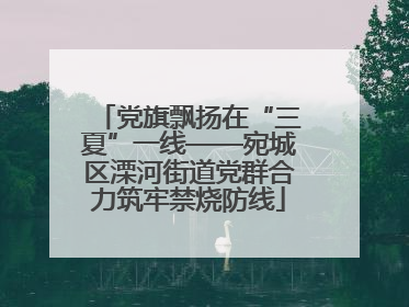 党旗飘扬在“三夏”一线——宛城区溧河街道党群合力筑牢禁烧防线