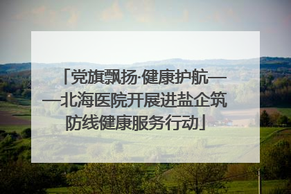党旗飘扬·健康护航——北海医院开展进盐企筑防线健康服务行动