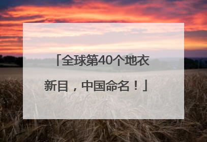 全球第40个地衣新目，中国命名！
