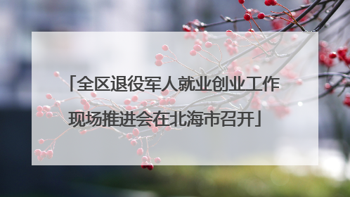 全区退役军人就业创业工作现场推进会在北海市召开
