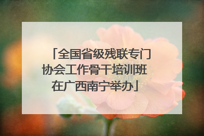 全国省级残联专门协会工作骨干培训班在广西南宁举办