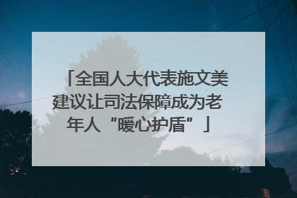 全国人大代表施文美建议让司法保障成为老年人“暖心护盾”